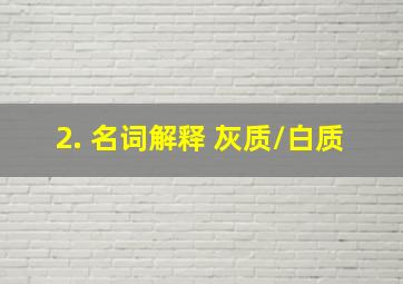 2. 名词解释 灰质/白质